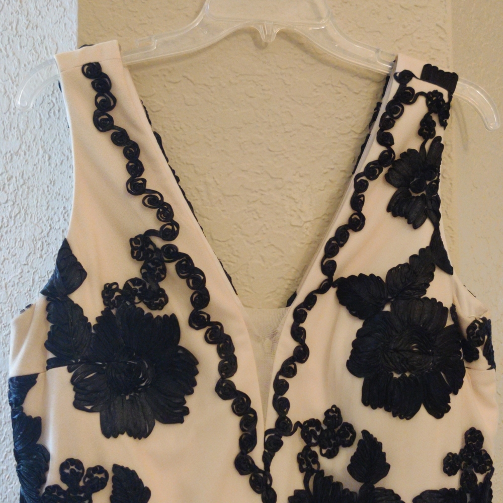 Size 14 creme and black classy and sexy Nicole Miller dress
